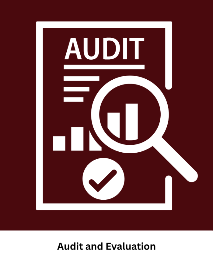 audit (2)